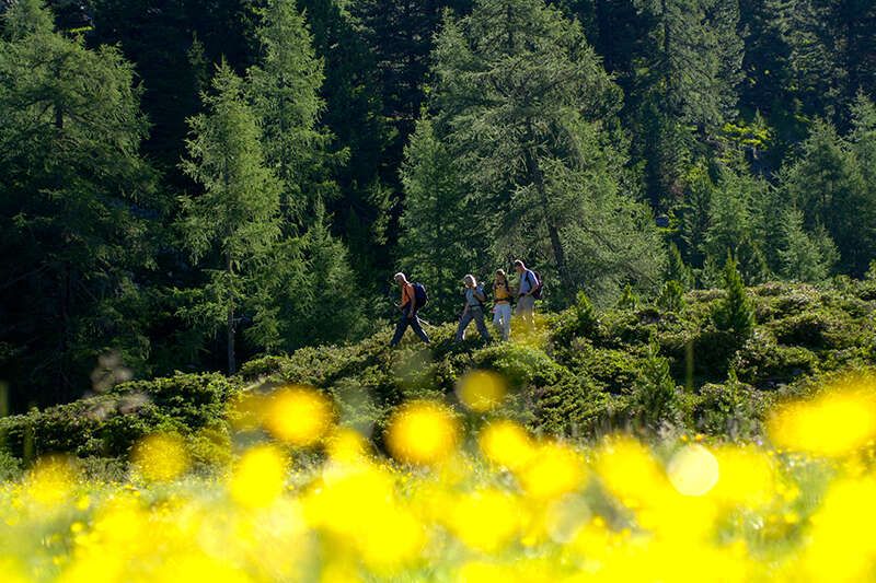 Wandern im Kaunertal
