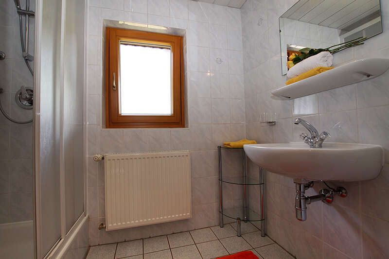 Badezimmer mit Dusche im Appartement 3 im Haus Karlspitz in Fendels